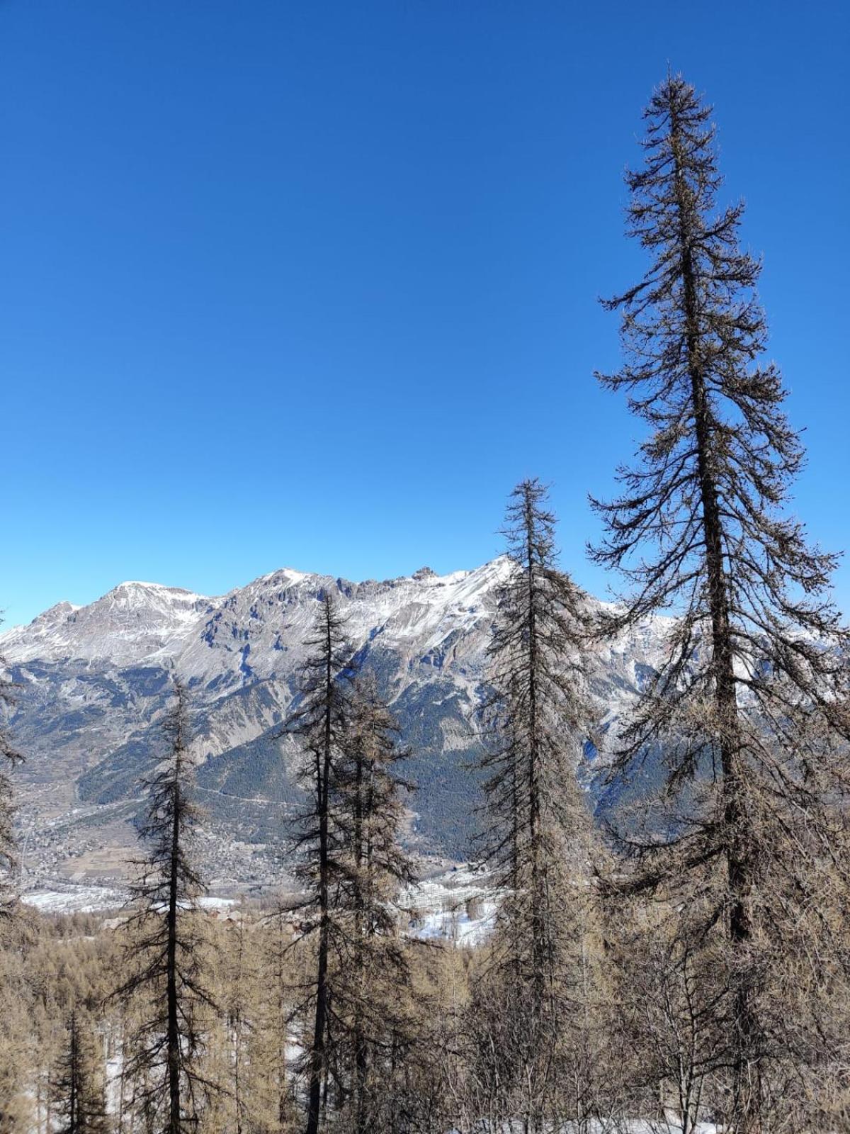 "La Batisse Des Pres" Apartman Puy-Saint-Vincent Kültér fotó
