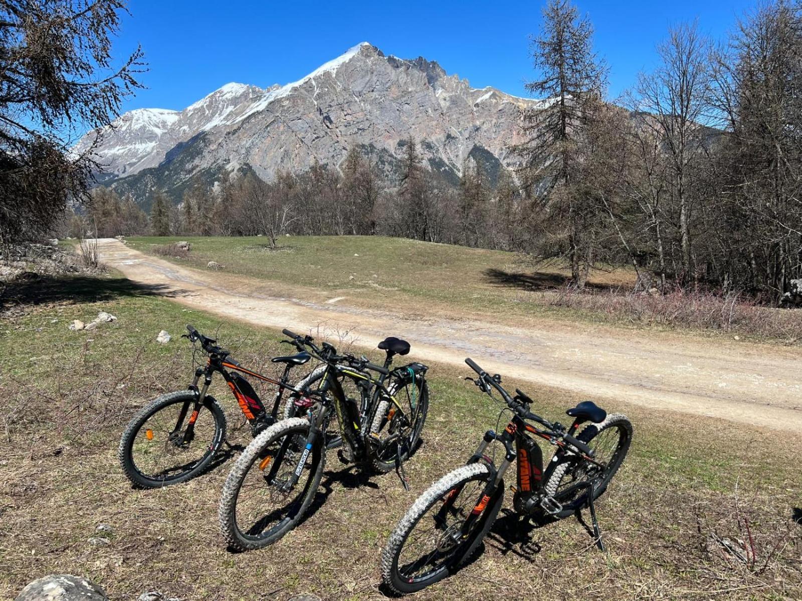 "La Batisse Des Pres" Apartman Puy-Saint-Vincent Kültér fotó