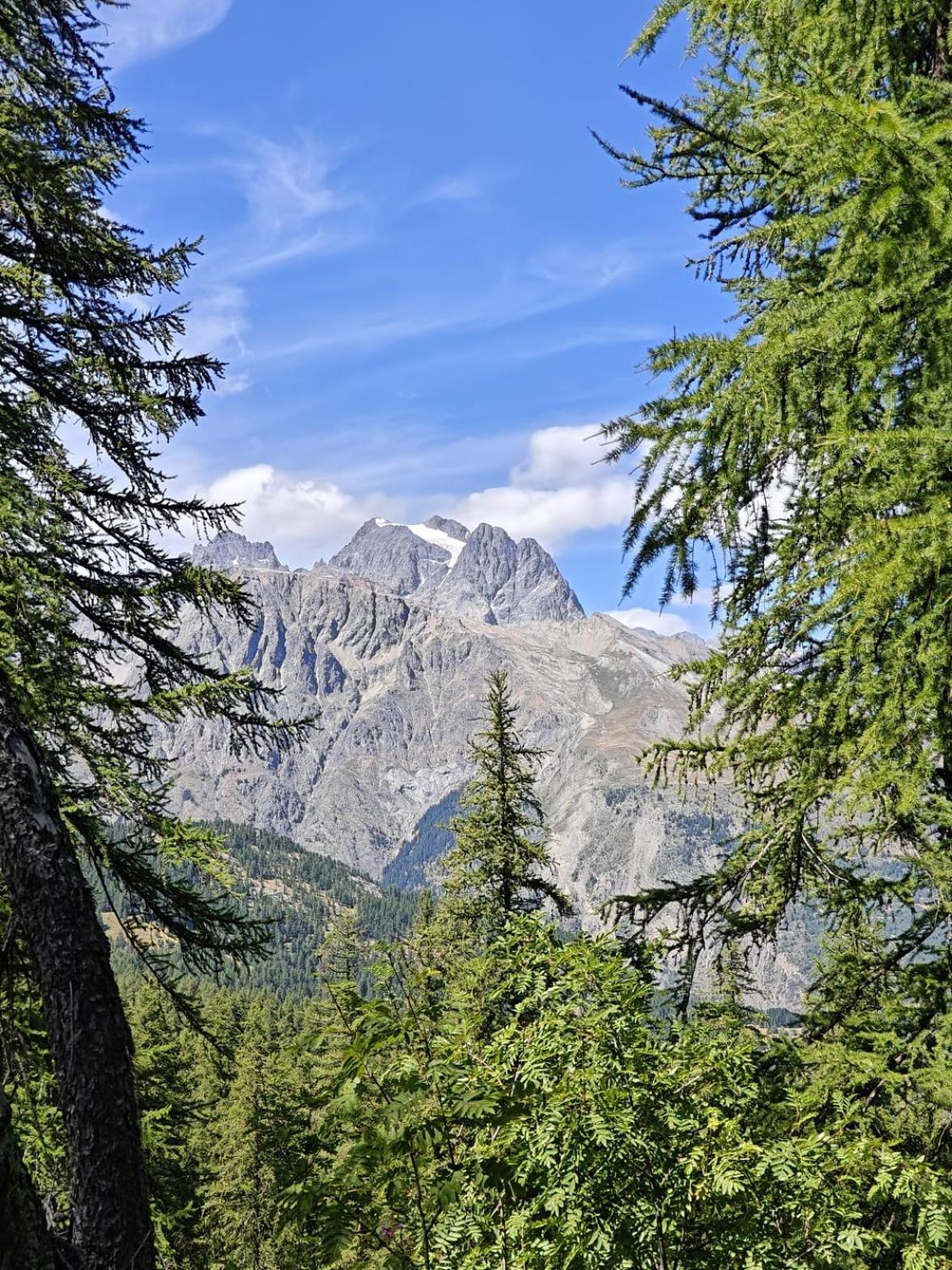 "La Batisse Des Pres" Apartman Puy-Saint-Vincent Kültér fotó