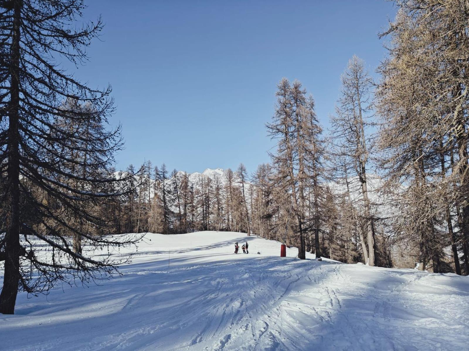 "La Batisse Des Pres" Apartman Puy-Saint-Vincent Kültér fotó